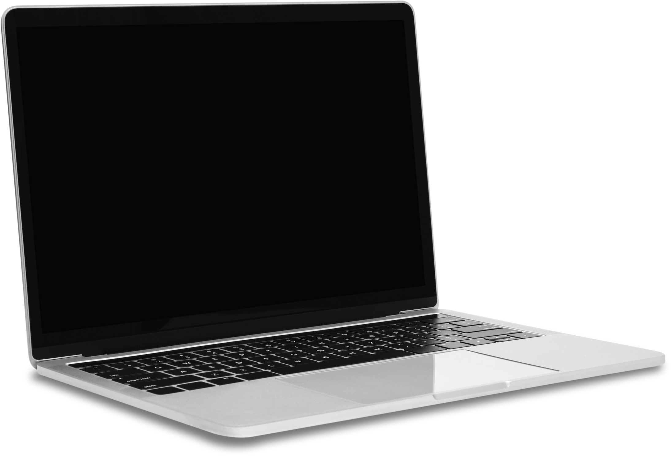 Silver Laptop Computer